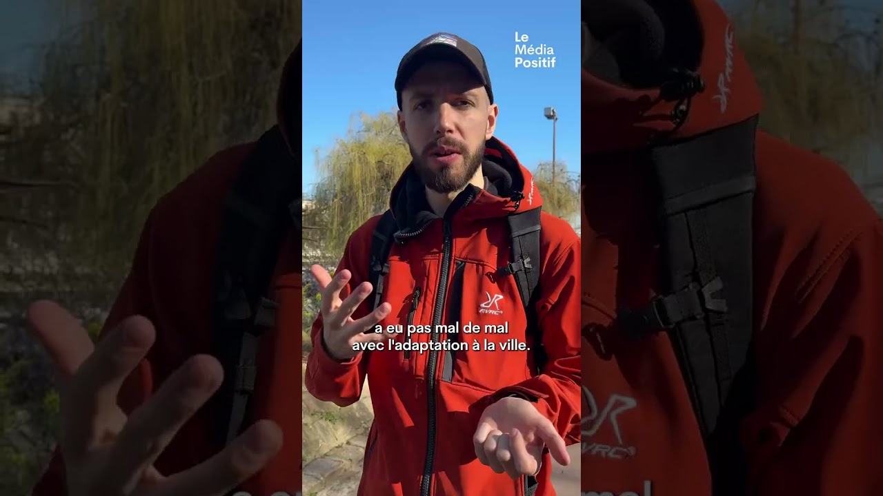 Il comprend les chiens mieux que les humains !