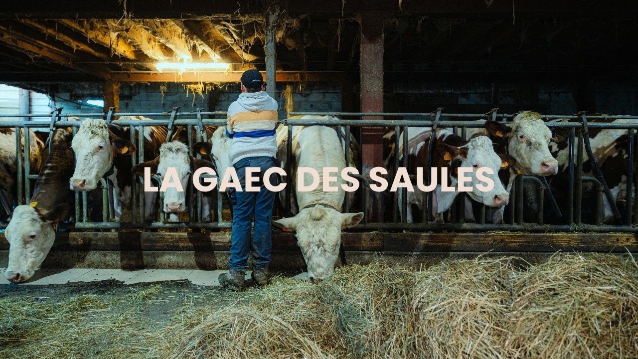 Ils font renaitre une ferme savoyarde - Vie de la GAEC des Saules