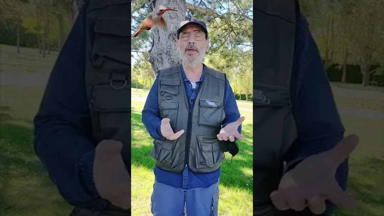 Les informations à savoir avant de déposer sa musique à la Sacem