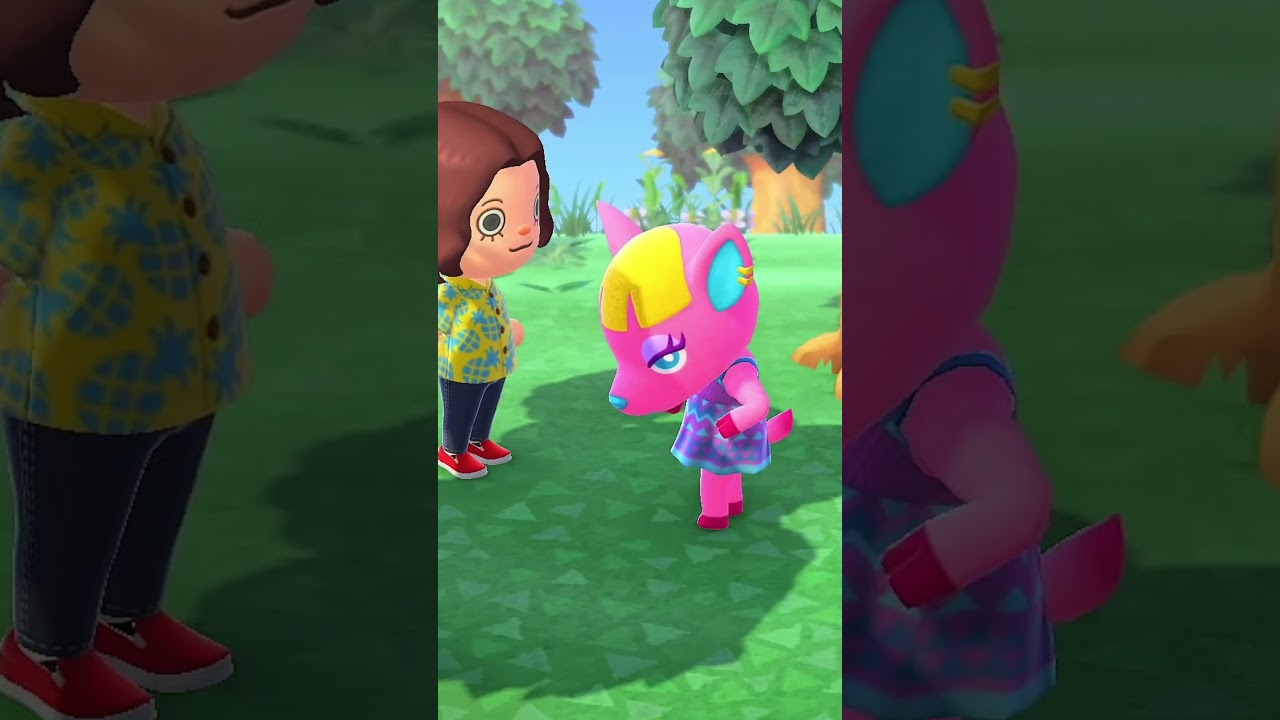 NE COMMENCE JAMAIS TON ÎLE COMME ÇA !