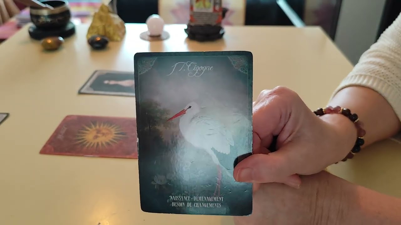 Mardi 14 Avril 🌸 Des bonnes nouvelles 💌 la protection sur une situation qui s'arrête 🍀🎁🌈#guidance 